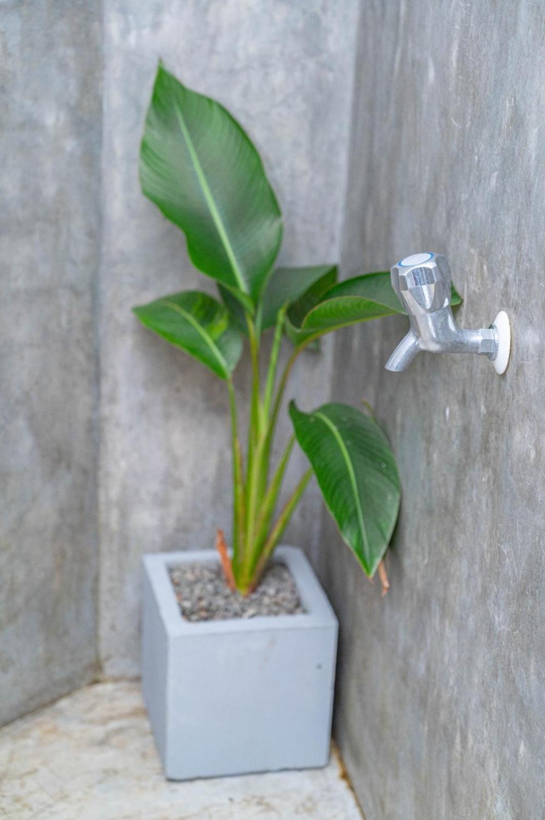 Cosynsurf Bed & Breakfast Matara Exterior foto